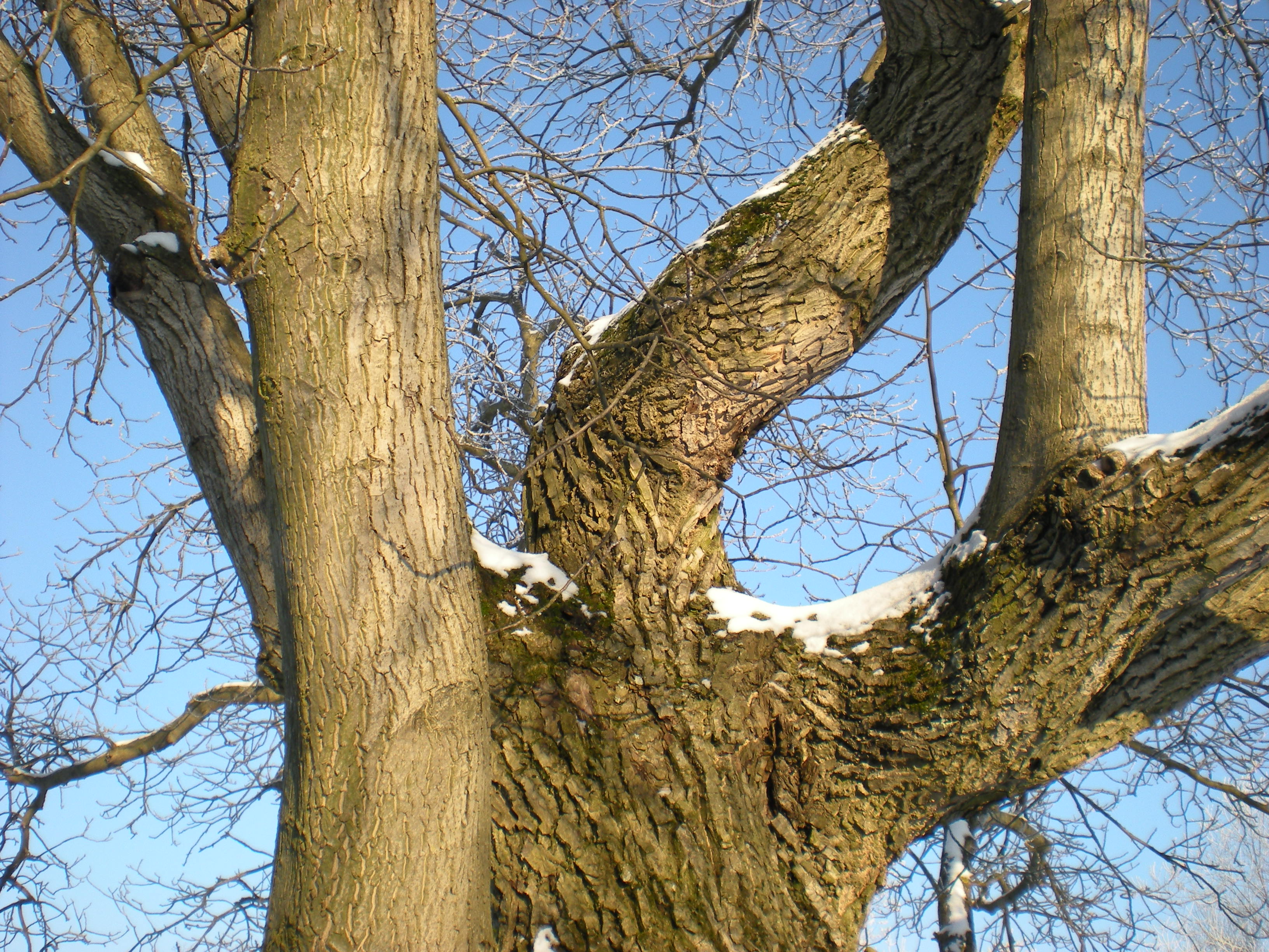 zima samoty 2009 199.JPG